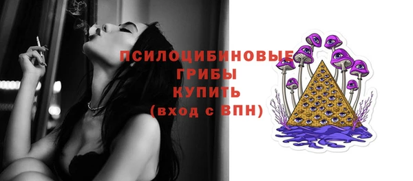СК Беломорск