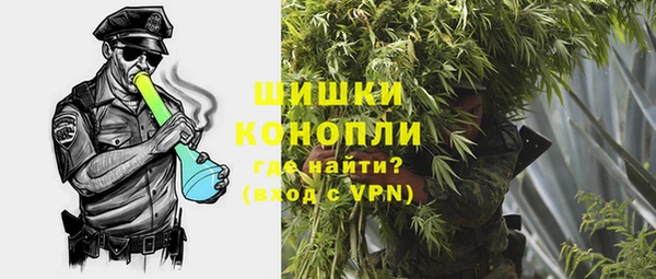 соль ск Белокуриха