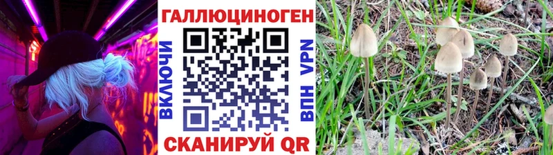 Псилоцибиновые грибы мицелий  МЕГА tor  Кемь 